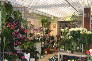 AU PETIT JARDINIER