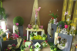 HISTOIRE DE FLEURS