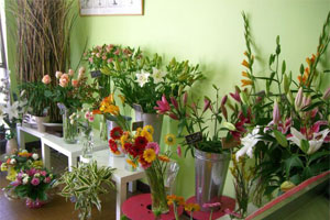 UNE FLEUR M A DIT...