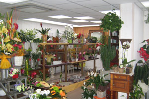 AUX ATELIERS CREA FLOR
