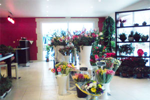 A FLEUR DE CAMARGUE