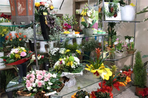 ARGENCE FLEURS