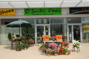 LES JARDINS D ASSIA