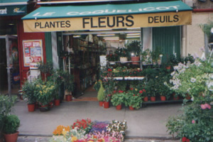 LE COQUELICOT