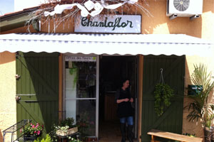 CHANTAFLOR