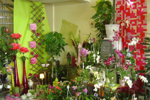 FLEURISTIC