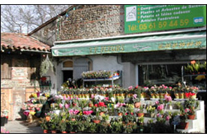 2 F FLEURS