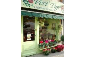 VERT TIGE