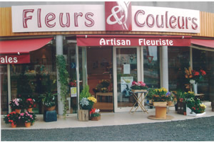 FLEURS ET COULEURS