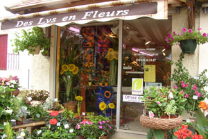 DES LYS EN FLEURS