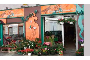 FLEUR DE CANNELLE