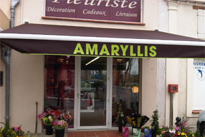 AMARYLLIS