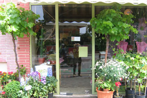 DE FIL EN FLEURS