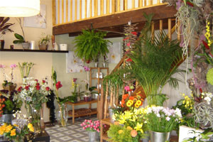 FLEURS DE LIN 