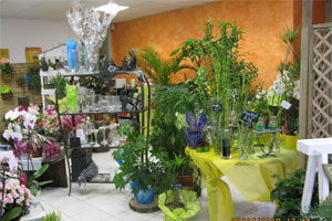 BOUTIC FLEURS COINDEAU