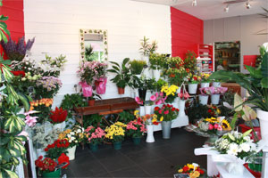 FLEURS A FLEURS 