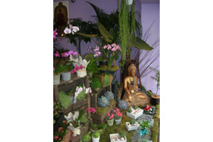 DUGUET DELPHINE D�CORATRICE FL