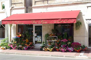 REVE D OPALINE