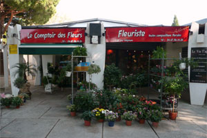 LE COMPTOIR DES FLEURS