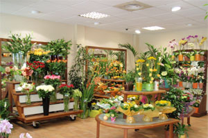 JARDIN DES FLEURS