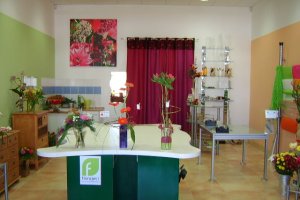 FLEURS DE CALINE