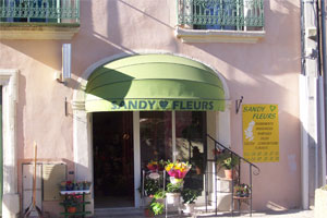 SANDY FLEURS
