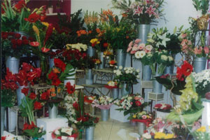 PARFUM DE FLEURS