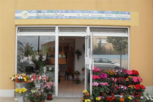 AUX PLAISIRS D ANDREA