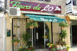 FLEURS DE LO
