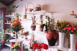 O DES LYS DES FLEURS