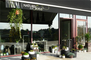NATURE DES SENS
