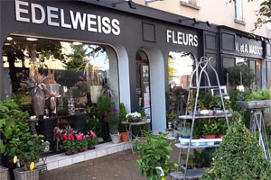 FLEURS EDELWEISS