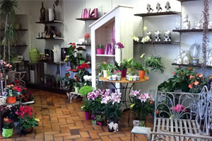 ENTRE FLEURS ET NATURE