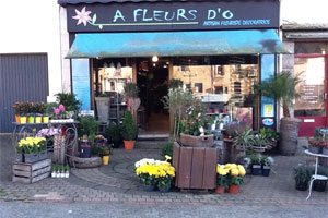 A FLEURS D O