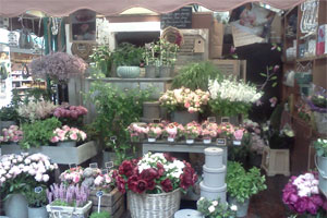 ET DES FLEURS 
