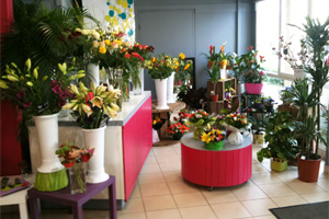 FLEURS ET COULEURS