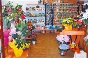 LE KIOSQUE FLEURS