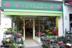 L ORCHIDEE