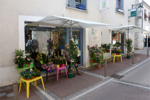 LA SYMPHONIE DU LYS