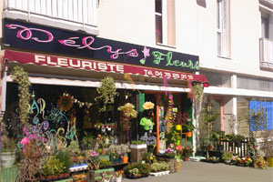 D�LYS FLEURS
