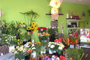 HARMONIE FLORALE