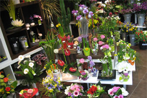 AU JARDIN DE BEATRIX     