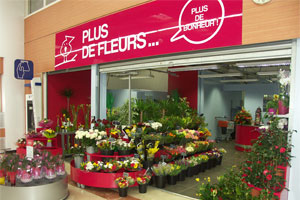 PLUS DE FLEURS PLUS DE BONHEUR
