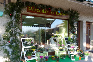 PETALE D OREL    