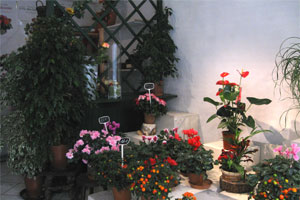 AU FLEURS DE FRANCE