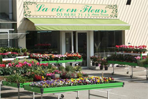 LA VIE EN FLEURS