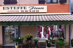 ESTEFFE FLEURS