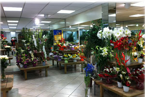 LA SAISON DES FLEURS