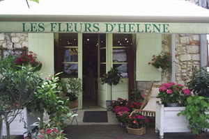 LES FLEURS D HELENE