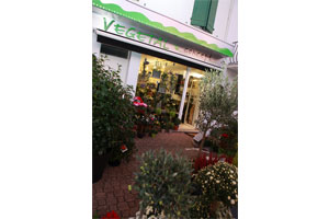 VEGETAL CONCEPT 